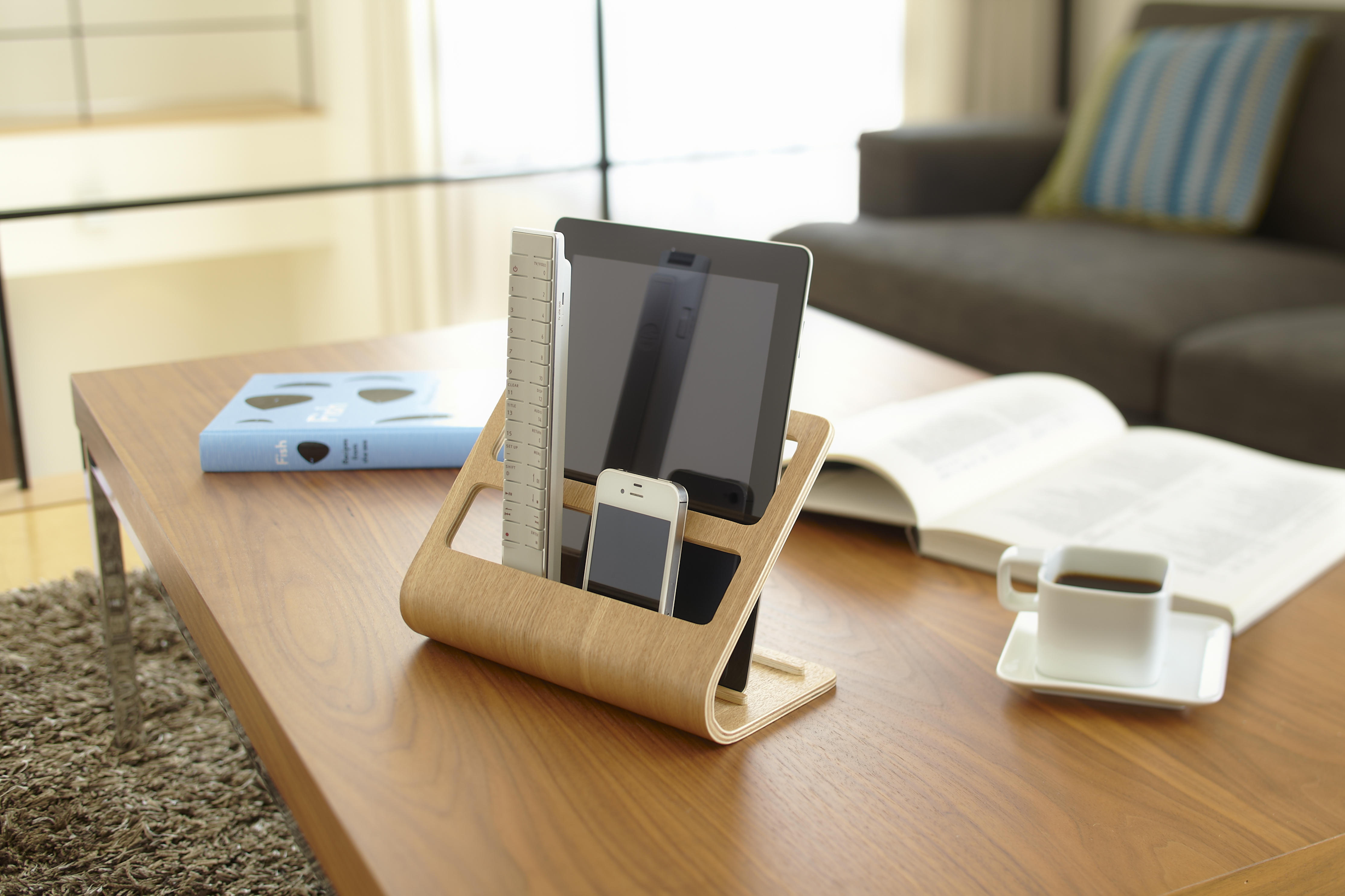 7325_rin_plywood_tablet_&_remote_control